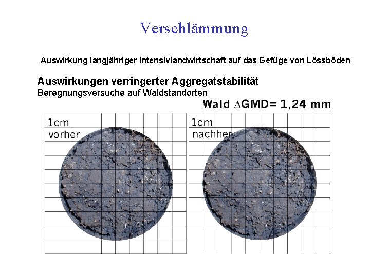 Verschlämmung Auswirkung langjähriger Intensivlandwirtschaft auf das Gefüge von Lössböden Auswirkungen verringerter Aggregatstabilität Beregnungsversuche auf