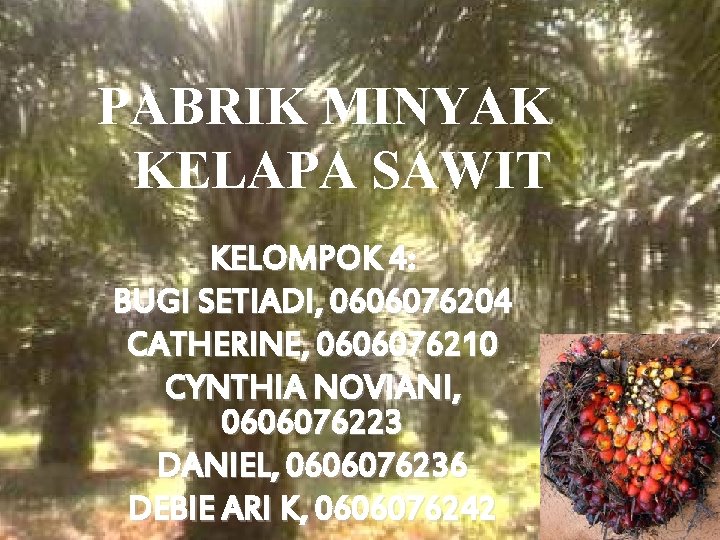 PABRIK MINYAK KELAPA SAWIT KELOMPOK 4: BUGI SETIADI, 0606076204 CATHERINE, 0606076210 CYNTHIA NOVIANI, 0606076223 PABRIK MINYAK KELAPA SAWIT KELOMPOK 4: BUGI SETIADI, 0606076204 CATHERINE, 0606076210 CYNTHIA NOVIANI, 0606076223