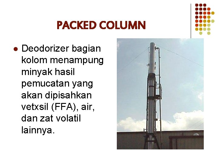 PACKED COLUMN l Deodorizer bagian kolom menampung minyak hasil pemucatan yang akan dipisahkan vetxsil