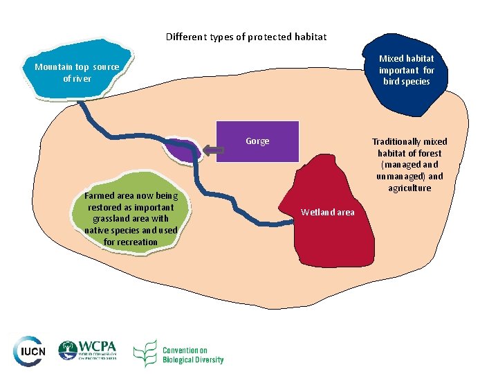 Different types of protected habitat Mixed habitat important for bird species Mountain top source