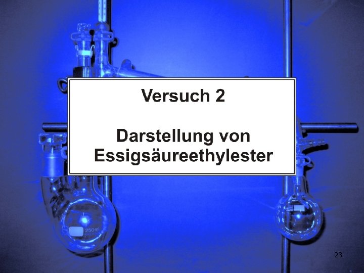 23 