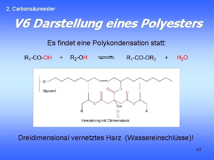 2. Carbonsäureester V 6 Darstellung eines Polyesters Es findet eine Polykondensation statt: Dreidimensional vernetztes