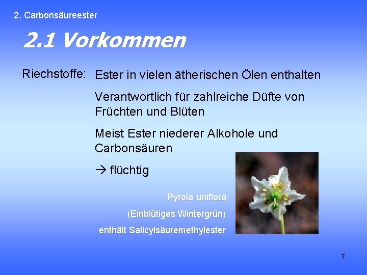 2. Carbonsäureester 2. 1 Vorkommen Riechstoffe: Ester in vielen ätherischen Ölen enthalten Verantwortlich für