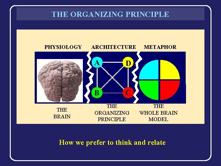 THE ORGANIZING PRINCIPLE PHYSIOLOGY THE BRAIN ARCHITECTURE A D B C THE ORGANIZING PRINCIPLE