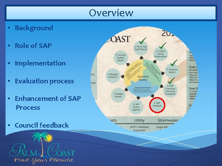 Overview • Background • Role of SAP • Implementation • Evaluation process • Enhancement
