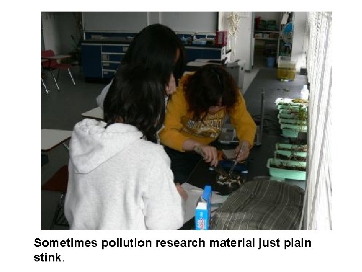  Sometimes pollution research material just plain stink. 