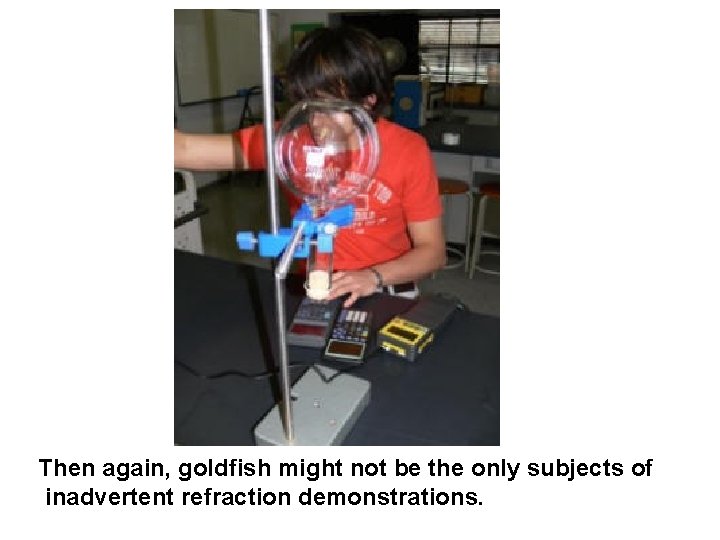 Then again, goldfish might not be the only subjects of inadvertent refraction demonstrations. 