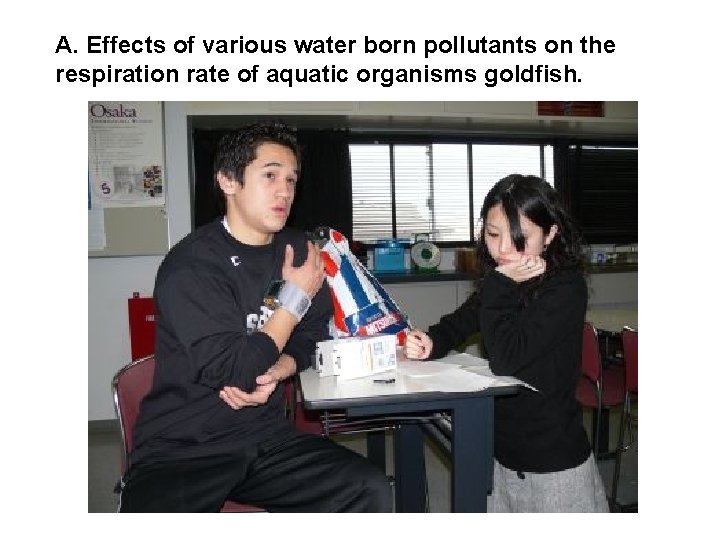 A. Effects of various water born pollutants on the respiration rate of aquatic organisms