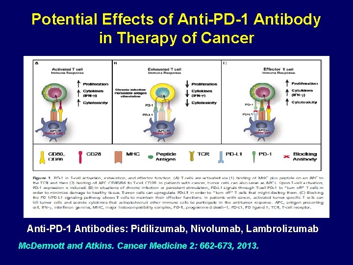Potential Effects of Anti-PD-1 Antibody in Therapy of Cancer Anti-PD-1 Antibodies: Pidilizumab, Nivolumab, Lambrolizumab