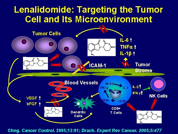 Lenalidomide: Targeting the Tumor Cell and Its Microenvironment Tumor Cells IL-6 TNF IL-1 Tumor