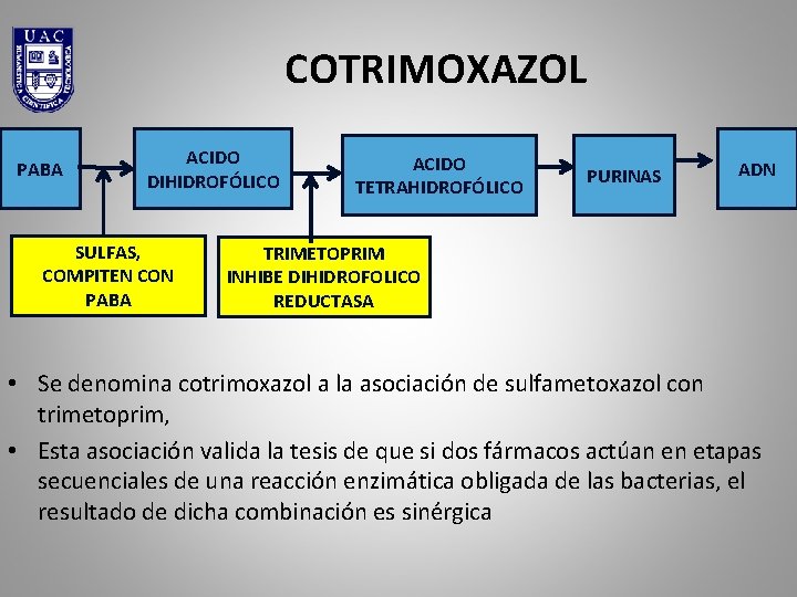 COTRIMOXAZOL PABA ACIDO DIHIDROFÓLICO SULFAS, COMPITEN CON PABA ACIDO TETRAHIDROFÓLICO PURINAS ADN TRIMETOPRIM INHIBE