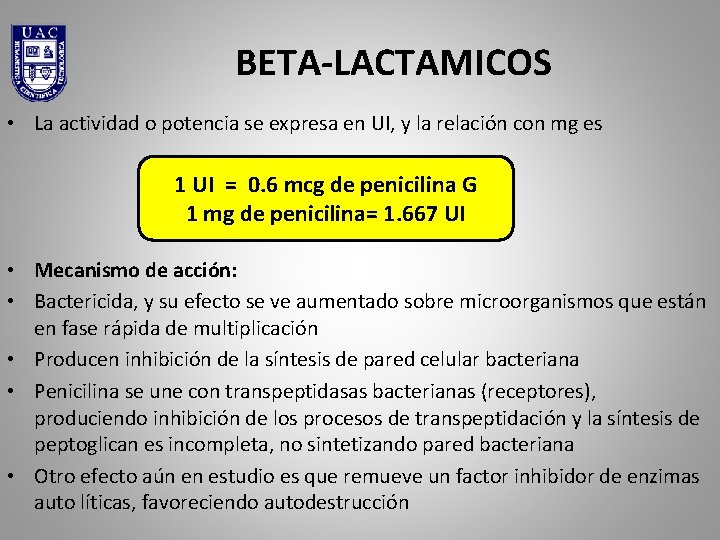 BETA-LACTAMICOS • La actividad o potencia se expresa en UI, y la relación con