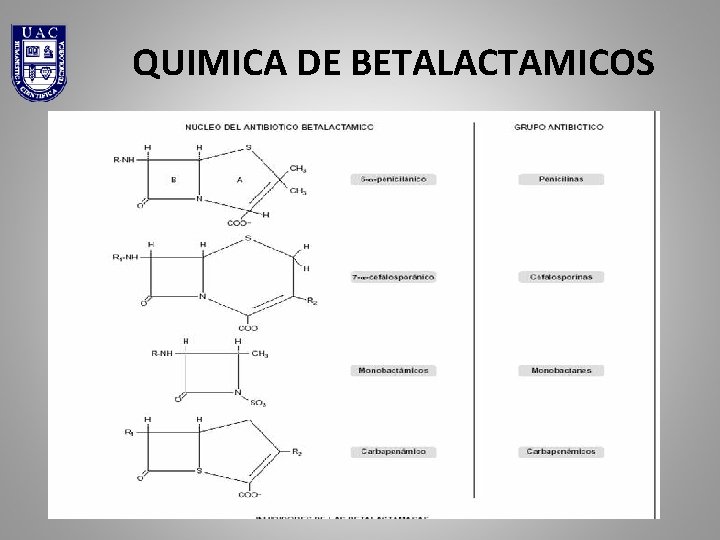 QUIMICA DE BETALACTAMICOS 