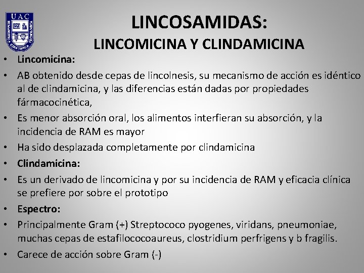 LINCOSAMIDAS: LINCOMICINA Y CLINDAMICINA • Lincomicina: • AB obtenido desde cepas de lincolnesis, su