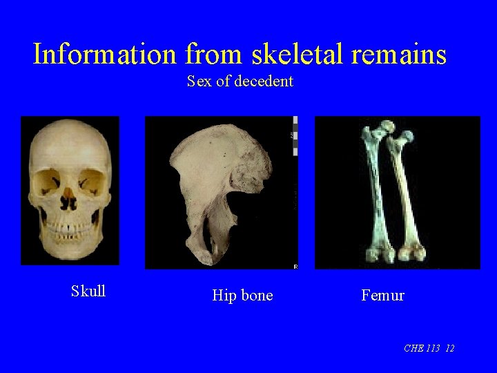 Information from skeletal remains Sex of decedent Skull Hip bone Femur CHE 113 12