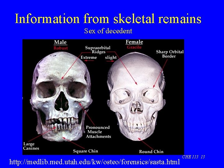 Information from skeletal remains Sex of decedent http: //medlib. med. utah. edu/kw/osteo/forensics/sasta. html CHE