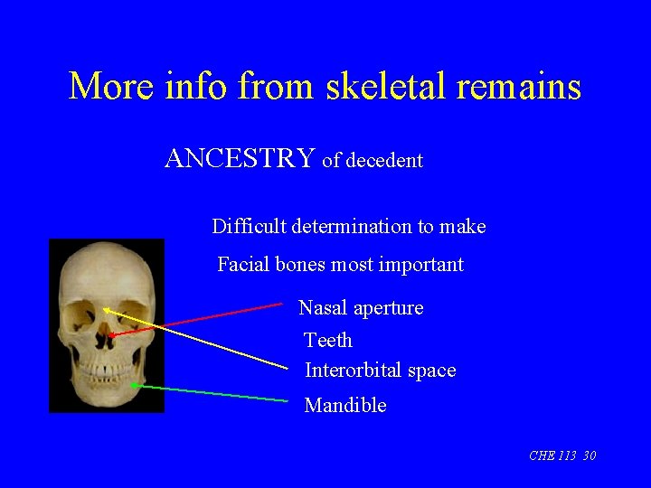 More info from skeletal remains ANCESTRY of decedent Difficult determination to make Facial bones
