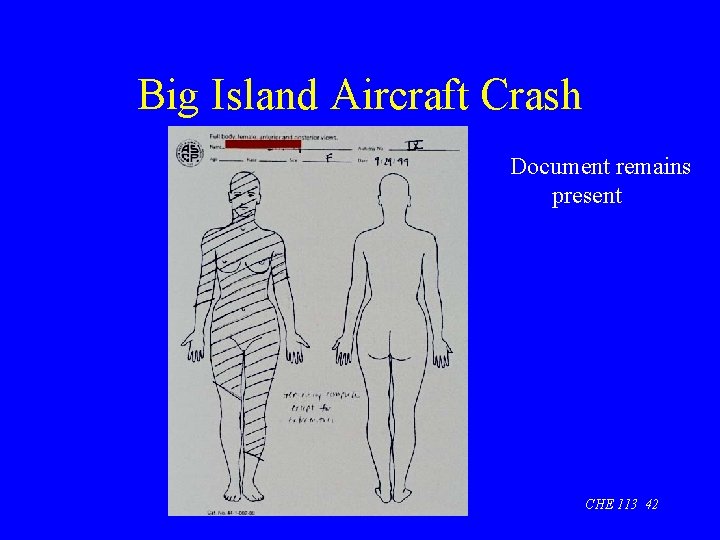 Big Island Aircraft Crash Document remains present CHE 113 42 