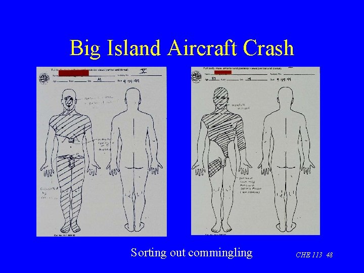 Big Island Aircraft Crash Sorting out commingling CHE 113 48 