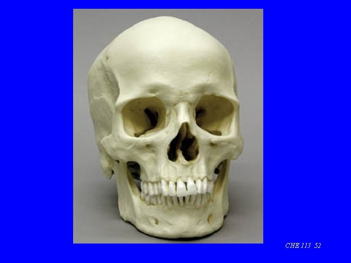 CHE 113 52 