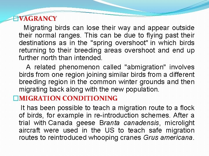�VAGRANCY Migrating birds can lose their way and appear outside their normal ranges. This