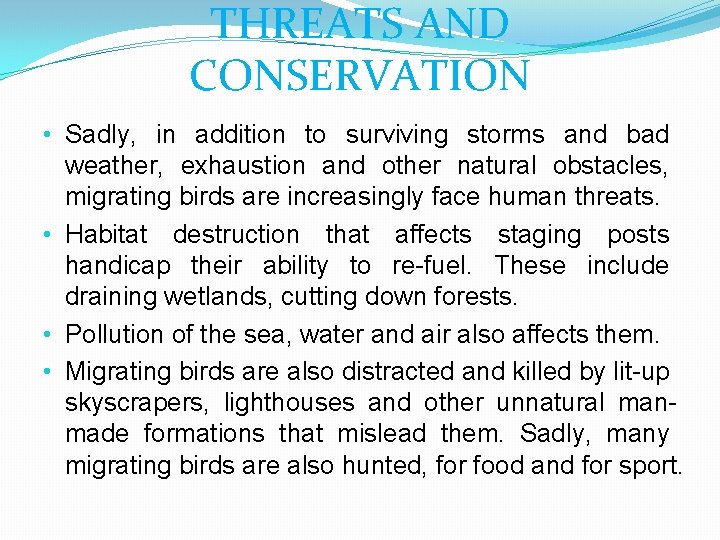 THREATS AND CONSERVATION • Sadly, in addition to surviving storms and bad weather, exhaustion