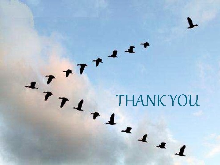 THANK YOU 