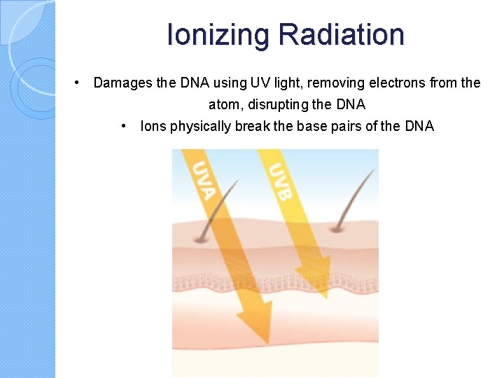 Ionizing Radiation • Damages the DNA using UV light, removing electrons from the atom,