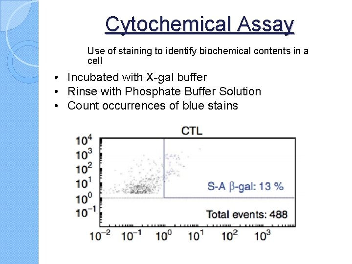 Cytochemical Assay Use of staining to identify biochemical contents in a cell • Incubated