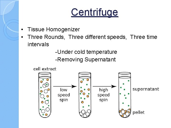 Centrifuge • Tissue Homogenizer • Three Rounds, Three different speeds, Three time intervals -Under