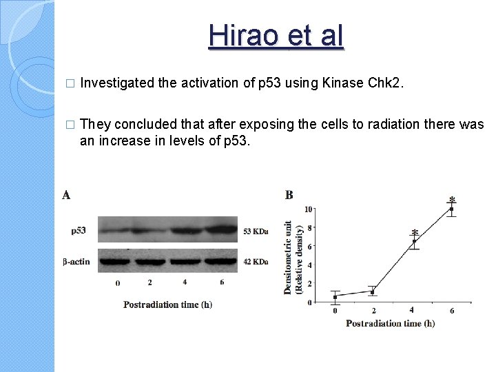 Hirao et al � Investigated the activation of p 53 using Kinase Chk 2.