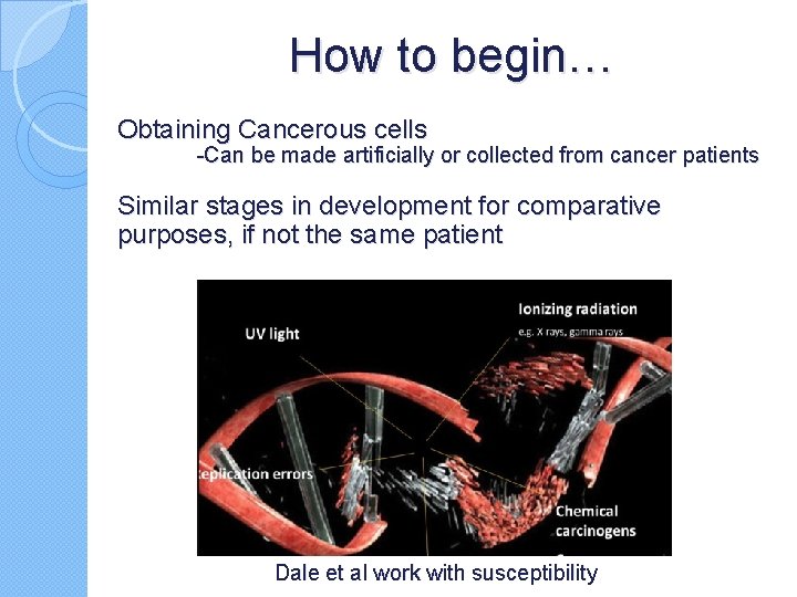 How to begin… Obtaining Cancerous cells -Can be made artificially or collected from cancer