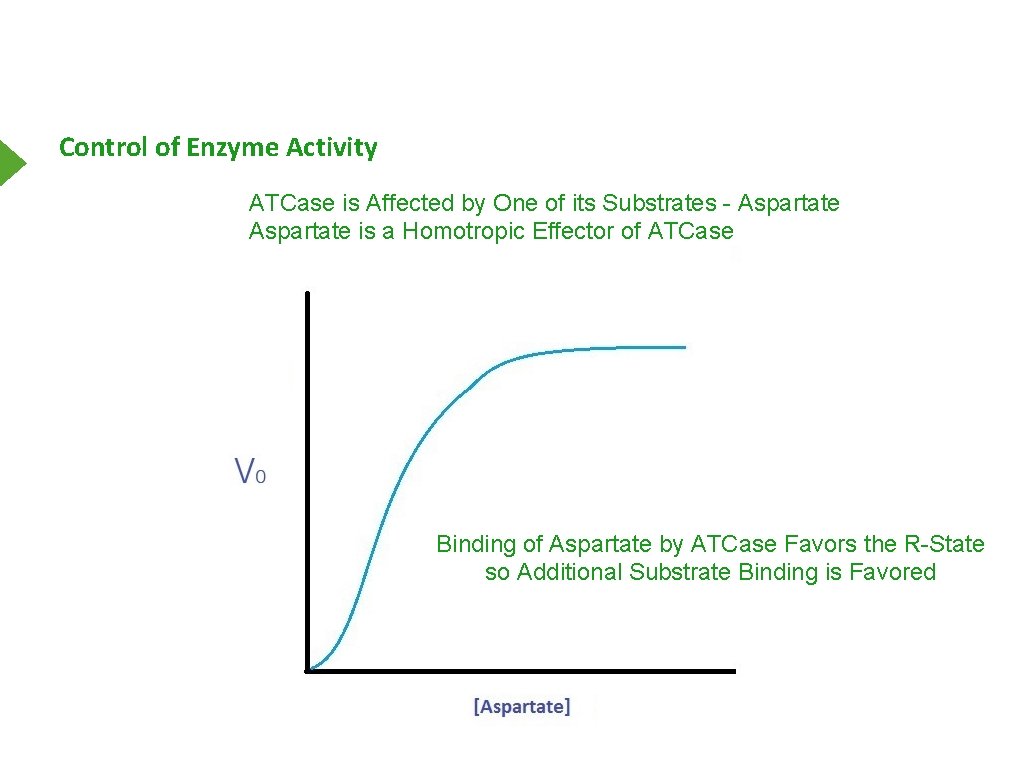 Control of Enzyme Activity ATCase is Affected by One of its Substrates - Aspartate
