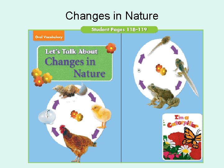 Changes in Nature 