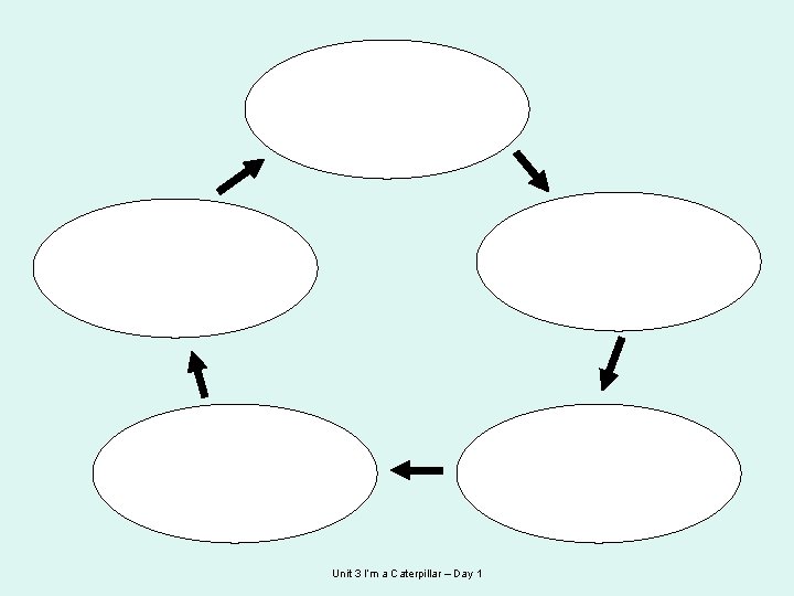 Unit 3 I’m a Caterpillar – Day 1 