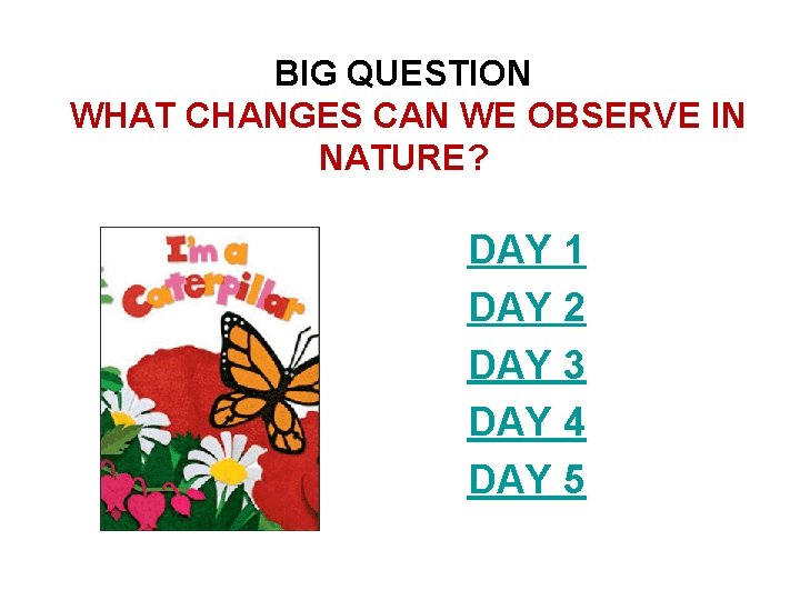 BIG QUESTION WHAT CHANGES CAN WE OBSERVE IN NATURE? DAY 1 DAY 2 DAY