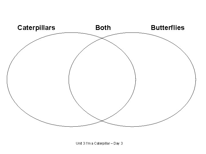 Caterpillars Both Unit 3 I’m a Caterpillar – Day 3 Butterflies 