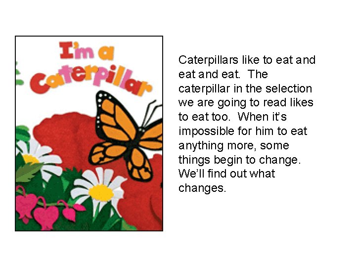 Caterpillars like to eat and eat. The caterpillar in the selection we are going