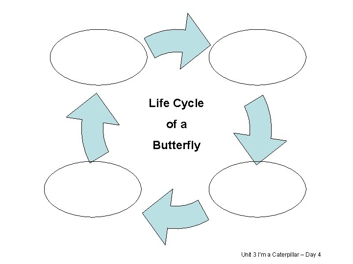 Life Cycle of a Butterfly Unit 3 I’m a Caterpillar – Day 4 