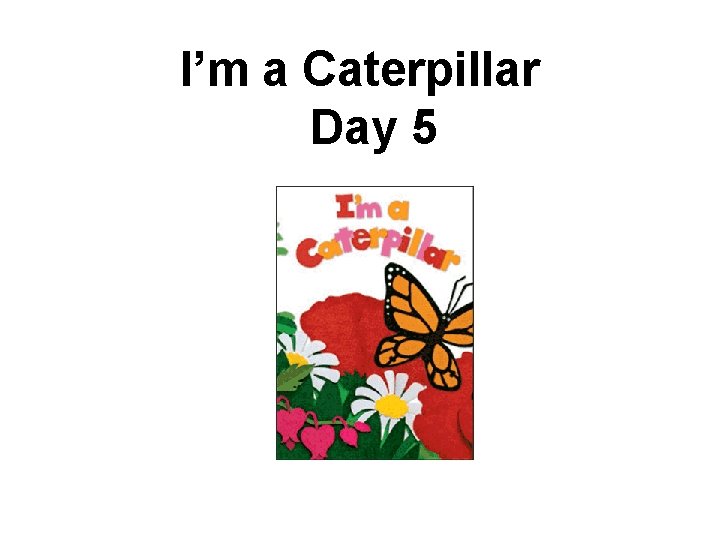 I’m a Caterpillar Day 5 