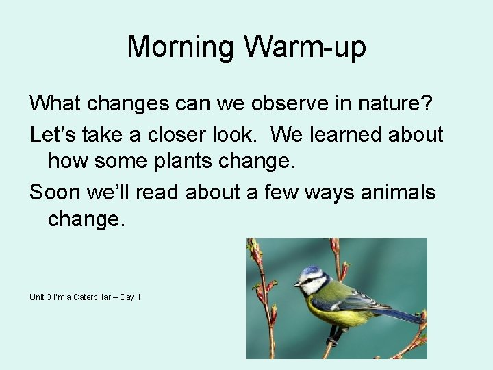 Morning Warm-up What changes can we observe in nature? Let’s take a closer look.