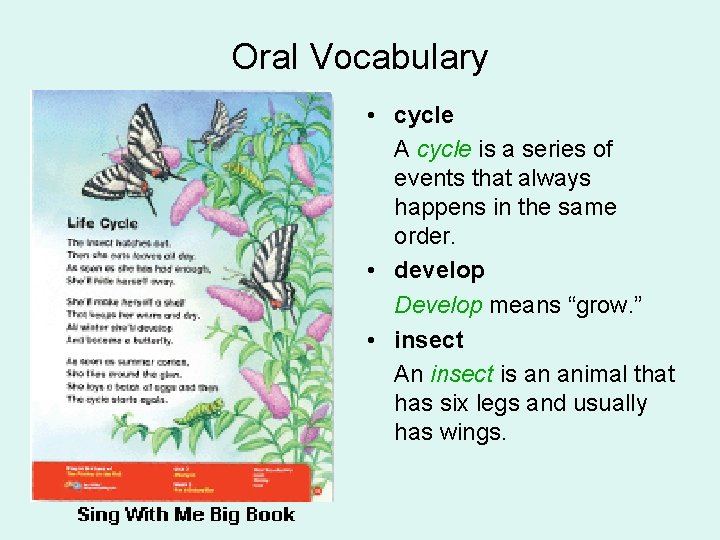 Oral Vocabulary • cycle A cycle is a series of events that always happens