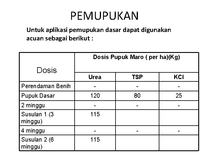 PEMUPUKAN Untuk aplikasi pemupukan dasar dapat digunakan acuan sebagai berikut : Dosis Pupuk Maro