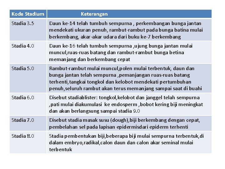 Kode Stadium Keterangan Stadia 3. 5 Daun ke-14 telah tumbuh sempurna , perkembangan bunga