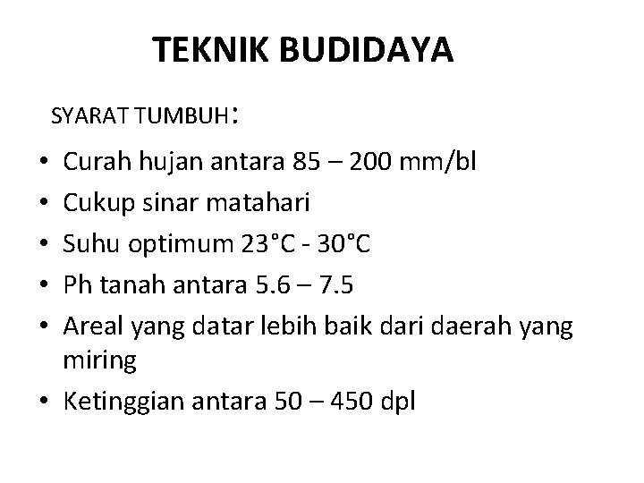TEKNIK BUDIDAYA SYARAT TUMBUH: Curah hujan antara 85 – 200 mm/bl Cukup sinar matahari