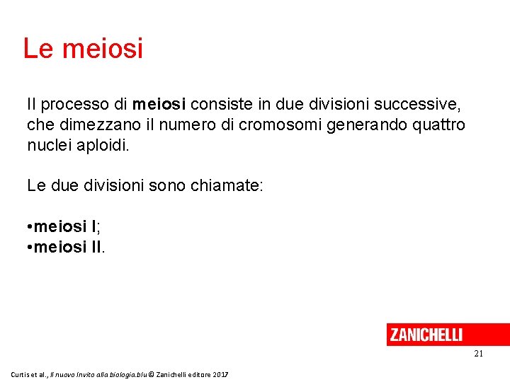 Le meiosi Il processo di meiosi consiste in due divisioni successive, che dimezzano il