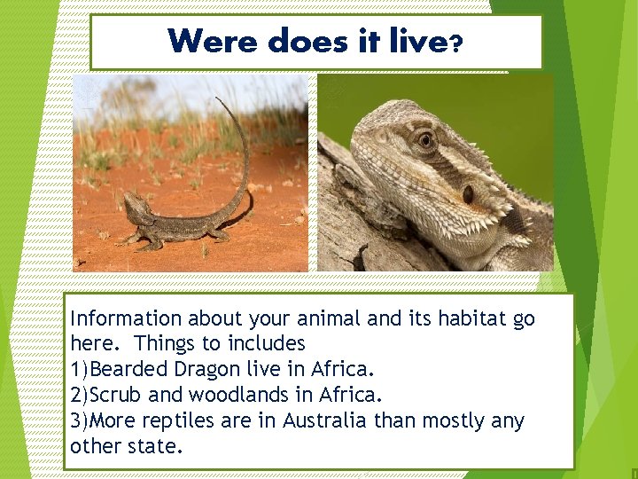 Were does it live? Map showing where your animal lives Picture showing your animal