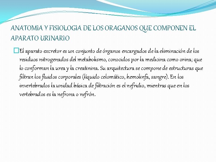 ANATOMIA Y FISIOLOGIA DE LOS ORAGANOS QUE COMPONEN EL APARATO URINARIO �El aparato excretor