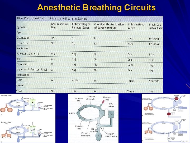 Anesthetic Breathing Circuits 
