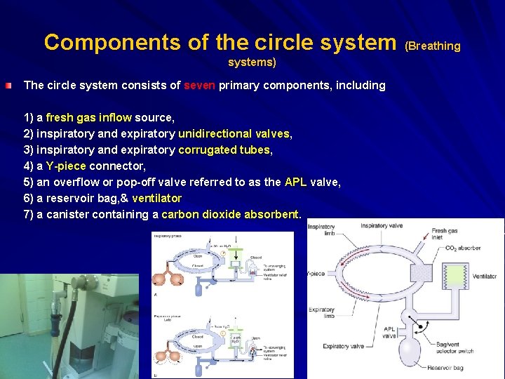 Components of the circle system (Breathing systems) The circle system consists of seven primary